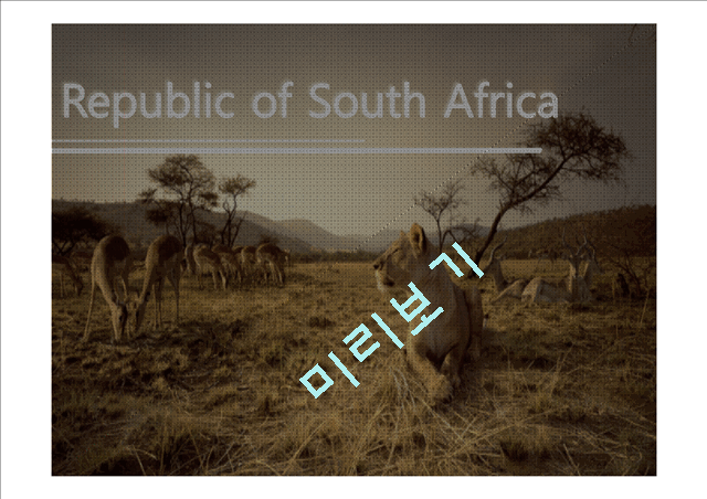 Republic of South Africa analysis   (1 )